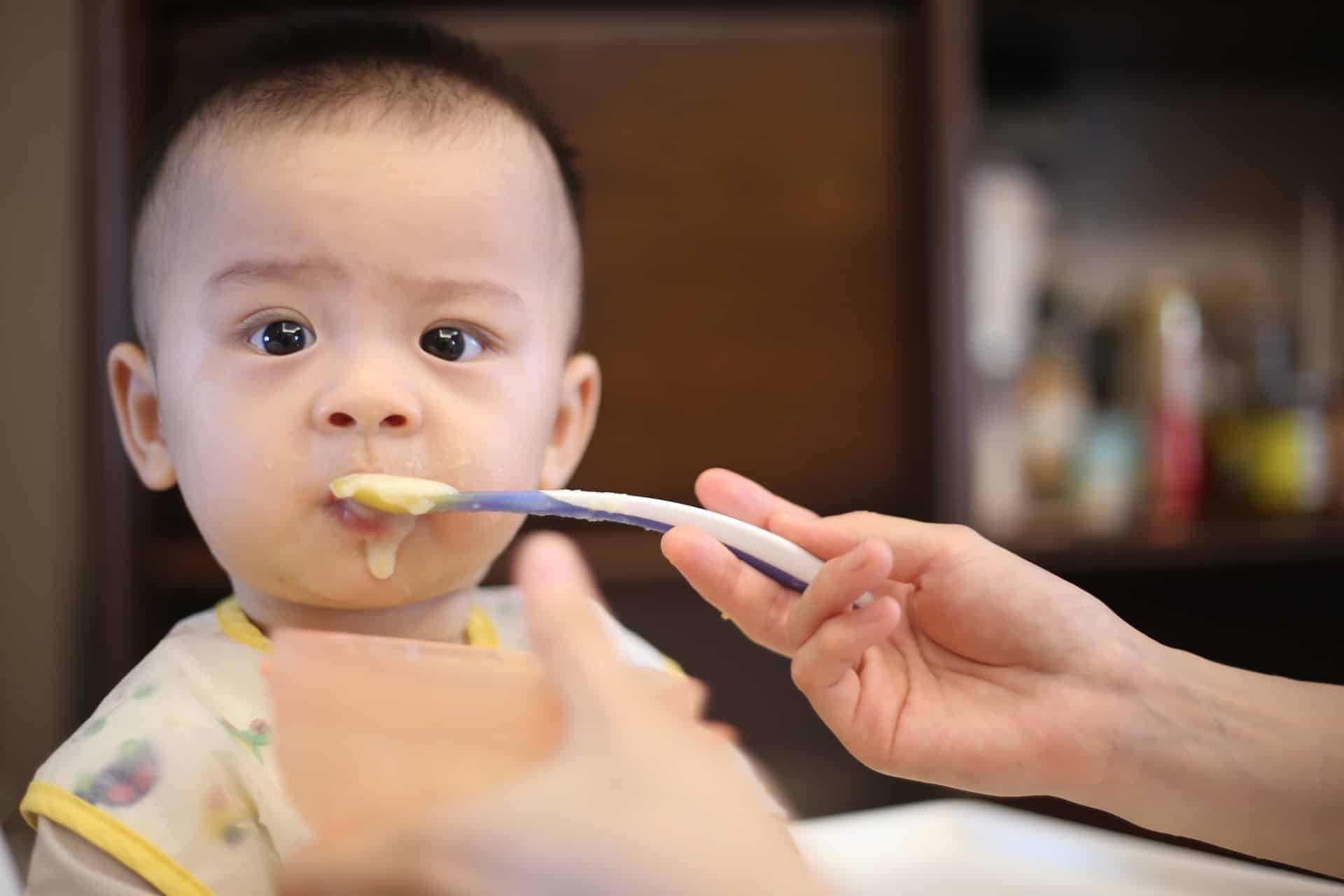 donner repas bébé